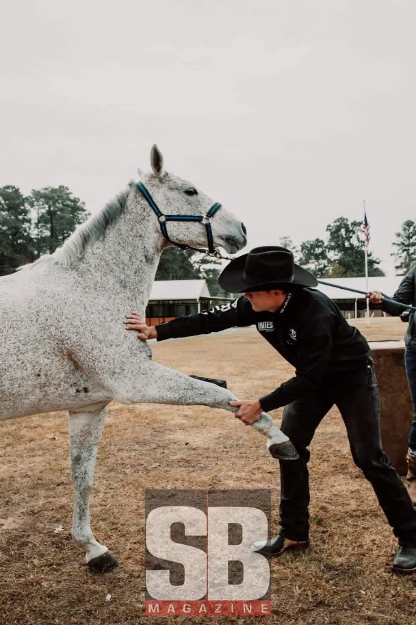 Man with the horse